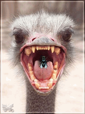 [img width=300 height=401 cacheid=0012b82f000b5b7ae8efc0c310003e09a0]http://www.animaatjes.com/PLAATJES,%20FOTO'S%20EN%20ANIMATIES/Humor/nietsmakelijk.gif[/img]