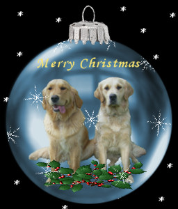[img width=256 height=300 cacheid=0012cee2000290d581fea0e31000f68aee]http://www.goldendogs.nl/public/xmas2004.jpg[/img]
