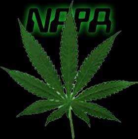 [img cacheid=0012f3cd00087ccd84bef6fa1a001f979f]http://legalweed.hypermart.net/pics/weed.jpg[/img]