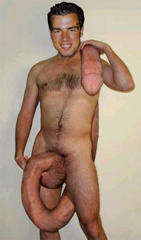 [img cacheid=0012f6c60004abf434cec5281a00329e93]http://www.raaar.nl/~rein/reincock.jpg[/img]