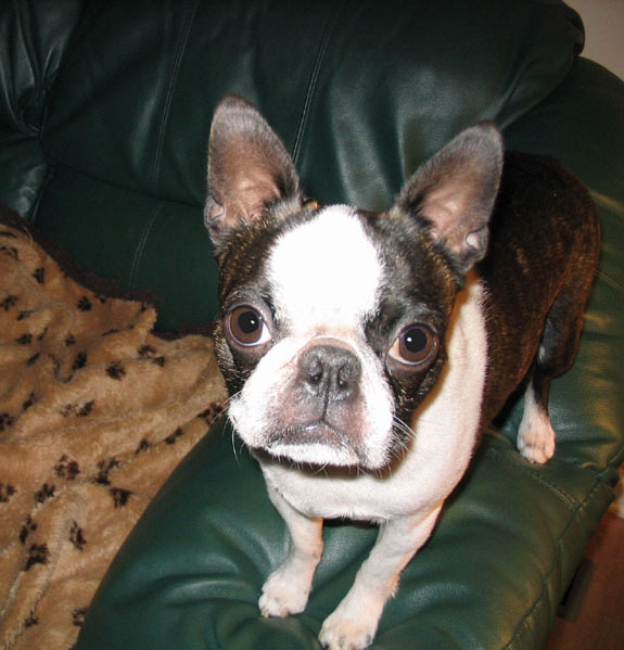 [img cacheid=00132dfd0013a4c8cdf66dbb1a006b4502]http://www.cs.utk.edu/~davie/avatar/avatar2.jpg[/img]