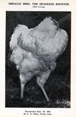 [img cacheid=001343ec00162cf6b3f7b24e1a00860dae]http://www.clubflash.nl/Mike.jpg[/img]