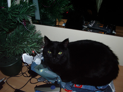 [img width=400 height=300 cacheid=001348c2001211decfcd0d011a00a0d896]http://www.real-lunatic.com/hans_en_ria/foto/albums/_darky%20%28stephan%29_/darky4.JPG[/img]