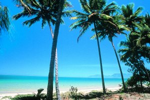 [img width=300 height=200 cacheid=001354b300178df161c7cc731a00a11743]http://www.ontheroad.net.au/previous/March2001/mar01images/palmbeach.jpg[/img]