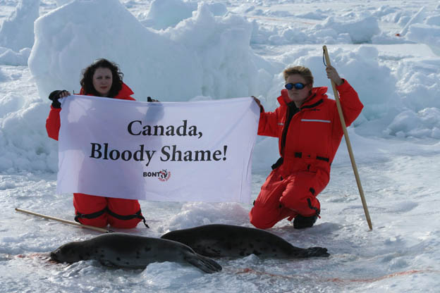 [img width=624 height=416 cacheid=00135a8e00183759812b34e61a00aae796]http://www.stopdeknuppels.nl/img/fotos/IMG_0287.jpg[/img]