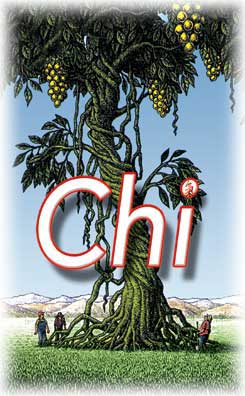 [img width=245 height=396 cacheid=0013ce730023ea201c820af51a0171a77e]http://www.hydromall.com/infocart_images/general_hydroponics/chi.jpg[/img]