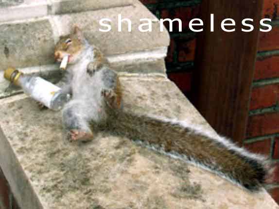 [img width=574 height=431 cacheid=0013d88a00249c212ff0d68c1a0182bbb0]http://www.djdiem.com/squirrel-drunk.jpg[/img]