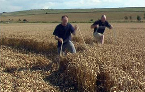 [img width=468 height=298 cacheid=00142f02002cd9e4ad3f68191a025dd4a7]http://www.lifeinthefastlane.ca/wp-content/uploads/2007/08/crop_circle_makers.jpg[/img]