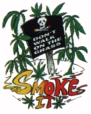 [img cacheid=00150ecd001c8a37dd7ed8871e000276f2]http://www.netkiffer.de/bilder/gross/dont_walk.jpg[/img]