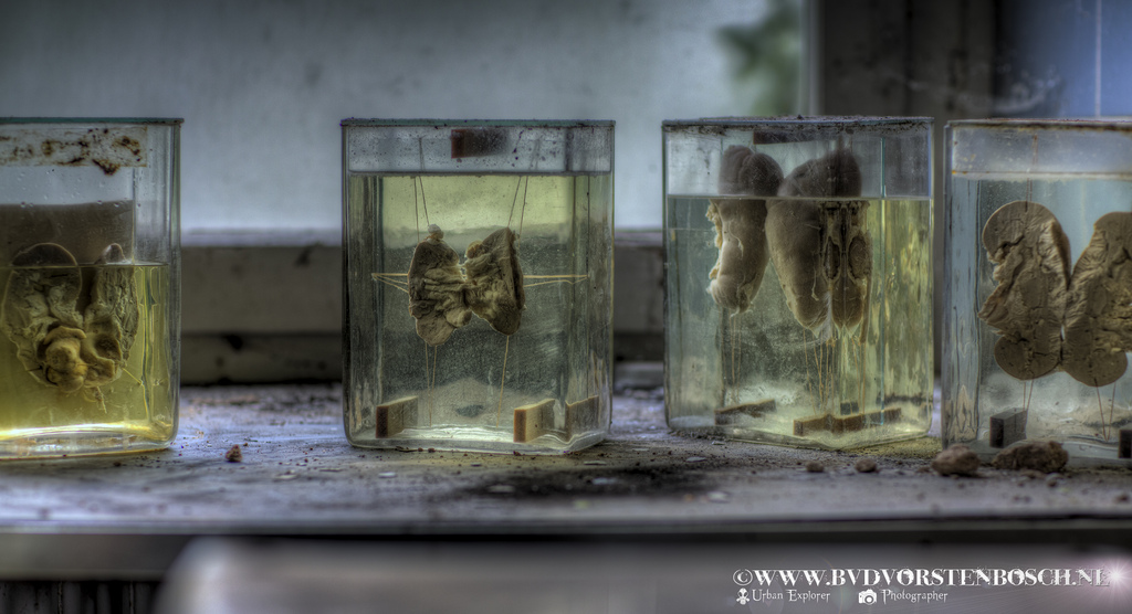 [img width=1024 height=556 cacheid=0015e37a0031f71a4fe29c841a02dd5d79]http://farm6.staticflickr.com/5448/9672823263_0f331fa602_b.jpg[/img]