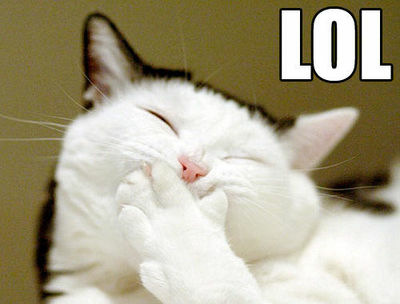 [img width=400 height=304 cacheid=001648de003269fcce0b62d41a02eb678c]https://album.partyflock.nl/84601394_229817904.jpg[/img]