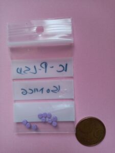 [img width=225 height=300 cacheid=00164ed100326fec557bf09a1a02efb50c]https://researchchempro.nl/wp-content/uploads/2019/11/1C-P-LSD-10-pellets-150-microgram-225x300.jpg[/img]