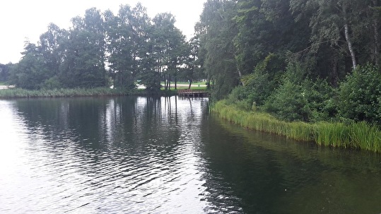 Wijthmenerplas