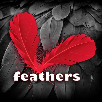 Feathers