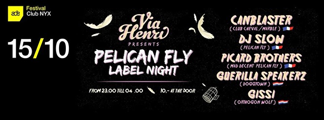 Pelican Fly Night