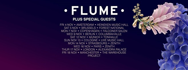 Flume World Tour