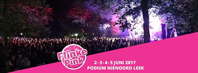 Flinke Pink Festival