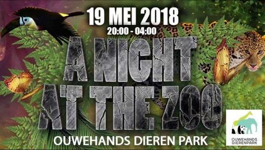 A Night At The Zoo