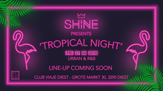 Tropical Night