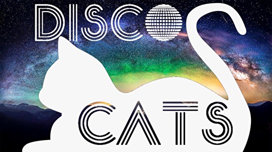 Disco Cats