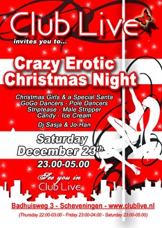 Crazy erotic christmas night