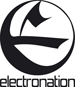 Electronic Pornographic Industry