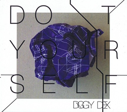 Diggy Dex - Do It Yourself