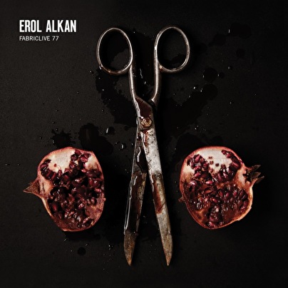 FabricLive 77 - Erol Alkan