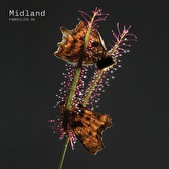 FabricLive 94 - Midland